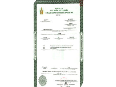 Honorary Qualifications