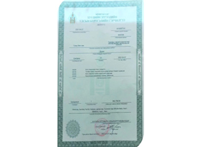 Honorary Qualifications