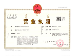 Business License
